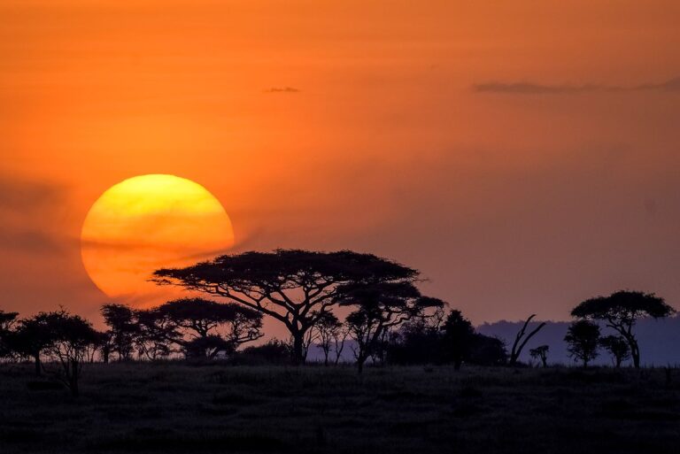 HISTORY | The Serengeti National Park